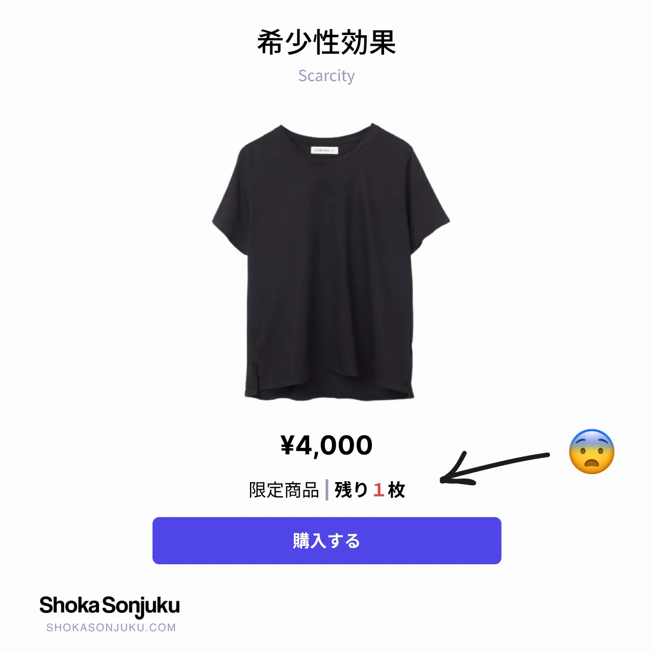 希少性効果 Scarcity UX 例